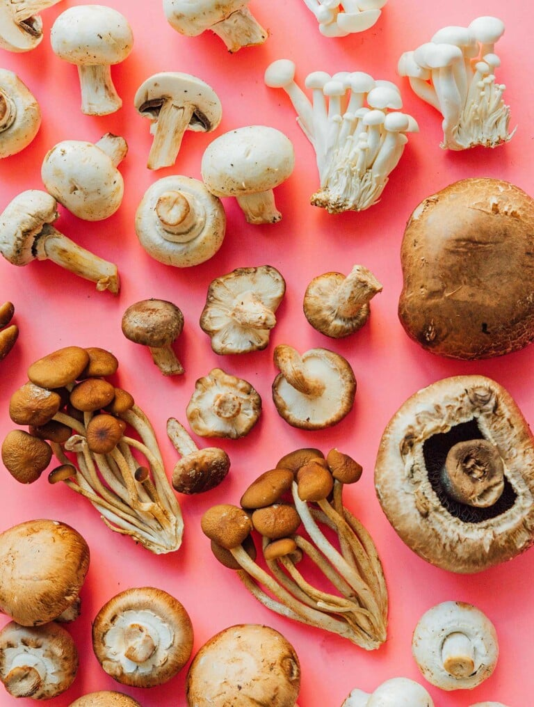 The Mushroom Boom: ACE Biotechnology's Offerings in the Spotlight