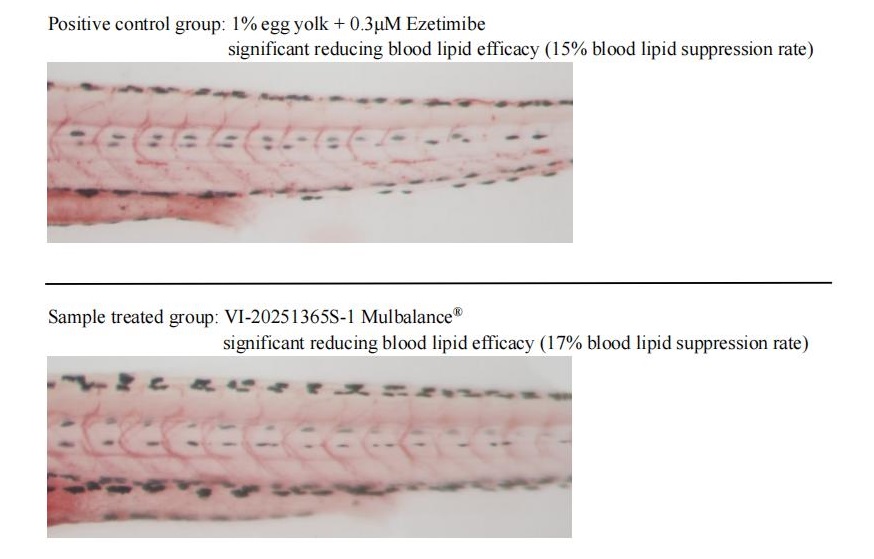Reducing_blood_lipid_p2.jpg